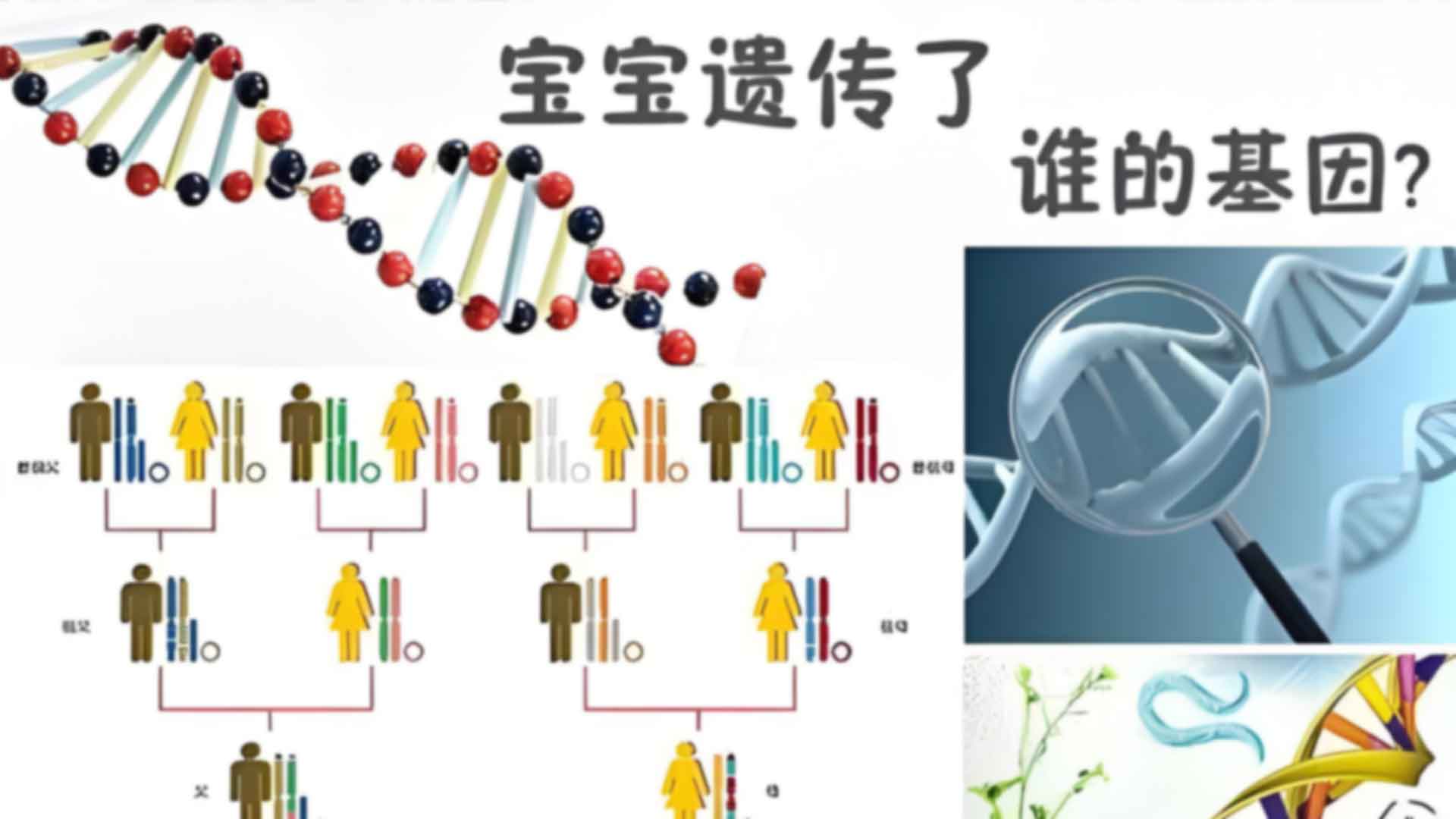 深圳光明上户口亲子鉴定的流程是什么？